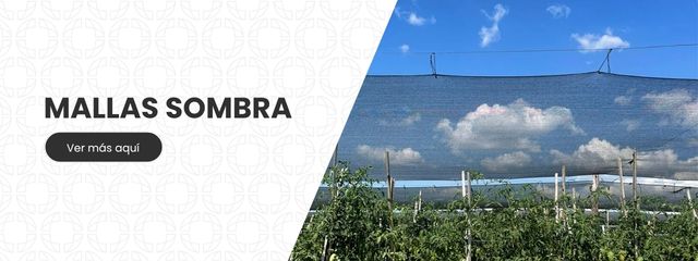 Banner MALAS SOMBRA