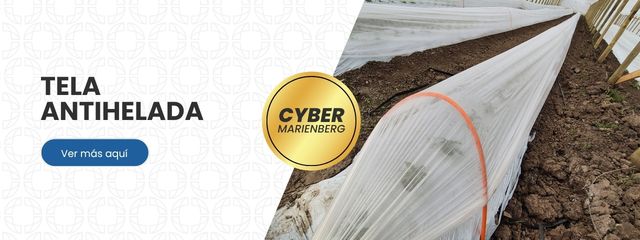 Banner Antihelada