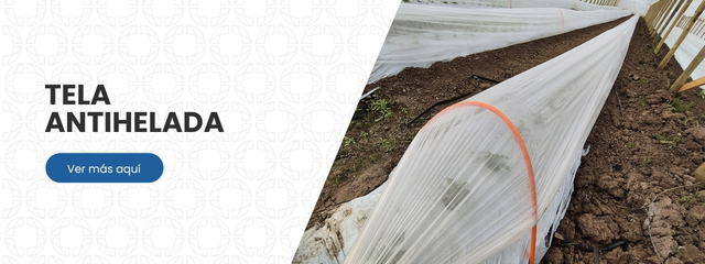 Banner Antihelada