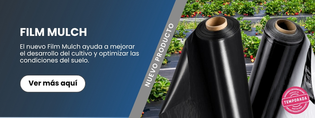 Banner fILM MULCH