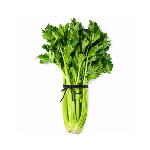 Cinta Plana Apio Bobina de 4kg aprox  Negro 6 Bobinas Marienberg