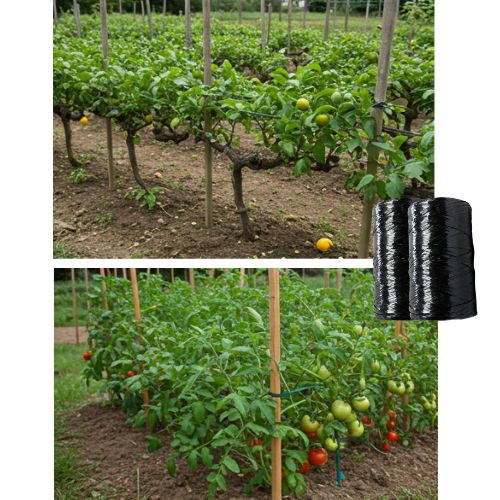 Cinta Plana Ortopedica Bobina de 2kg aprox  Negro 6 Bobinas Marienberg