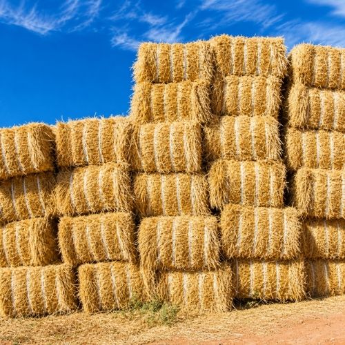 Cordel Pasto Bobina de 4kg aprox Natural 1 unidad Marienberg