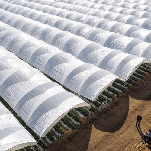 Cuerda Agrícola de 5kg aprox 5mm Negro  con Filtro UV 1 unidad Marienberg