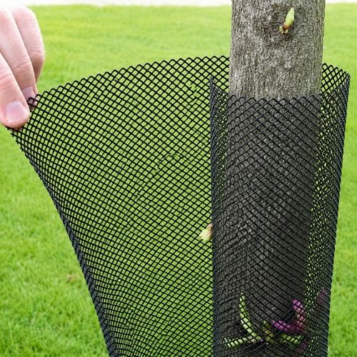 Malla Protectora de Árboles de 25cm 100m Negro 1 Bobina Marienberg
