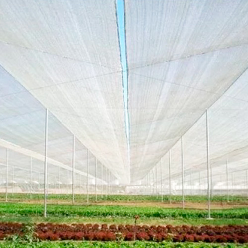 Malla Raschel Sombra Lisa 65%  2,10x100m Blanco 1 rollo Marienberg