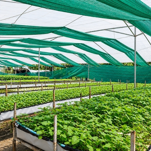 Malla Raschel Sombra Lisa 80%  2,10x5m Verde 1 rollo TREETOP