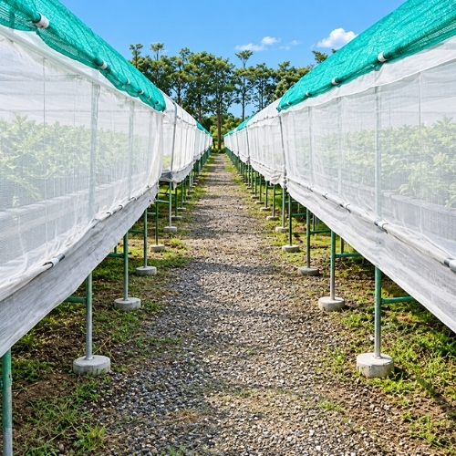 Malla Raschel Sombra Lisa 80%  2,10x10m Blanco 1 rollo TREETOP