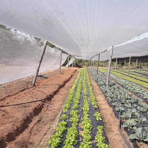 Malla Raschel Sombra Lisa 95%  4,25x50m Plata 1 rollo Marienberg