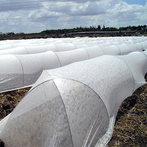 Tela Antihelada de 1,40x1000m 27gr/m2 con Filtro UV Blanco 1 unidad Marienberg