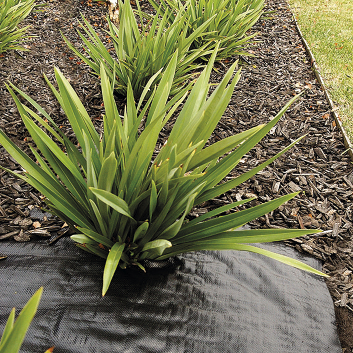 Tela Antimaleza o Ground Cover de 0,70x10m  Negro 1 unidad TREETOP