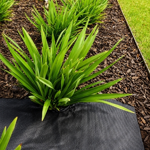 Tela Antimaleza o Ground Cover de 1,20x10m  Negro 1 unidad Marienberg
