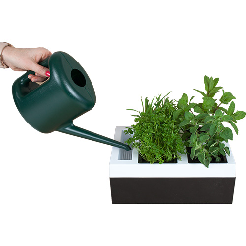 Hierbero para  Cultivar Hasta 4 Hierbasu Hortalizas 27x20x10cm Negro/Blanco 1 unidad TREETOP