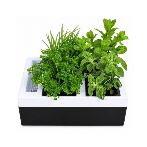 Hierbero para Cultivar Hasta 4 Hierbas u Hortalizas 27x20x10cm Negro/Blanco 1 unidad TREETOP
