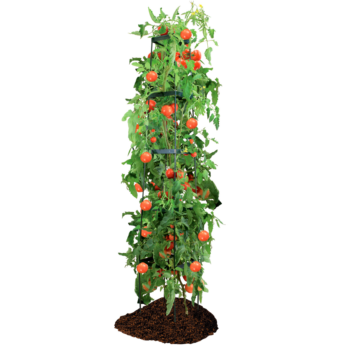 Foto de Trepadora Torre Expandible hasta 5 niveles 32x31x180cm Verde 1 unidad